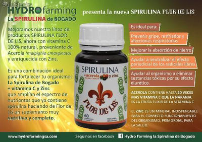 Spirulina platensis en diversas presentaciones