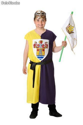 Squire child costume