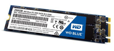 Ssd western digital wd blue sata m.2 250 GB