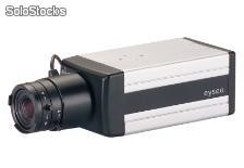 Standardkamera - Eyseo Ecoline Wide Dynamic, 12V, 470TVL