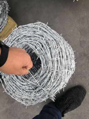 Steel Wire Material and Steel Galvanized barbed wire for sale