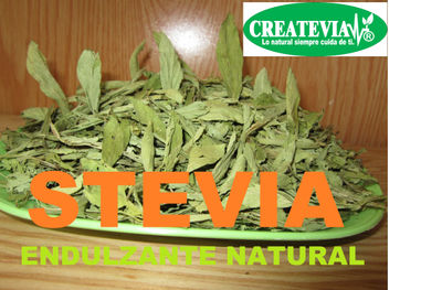Stevia hojas