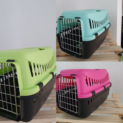 Stock Mangimi cani marca Alleva linee Life e Plus + Accessori cane/gatto - Foto 4