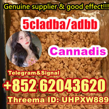 Strongest Cannabinoid 5cladba Powder 5CL-ADB-A precursor raw +852 62043620