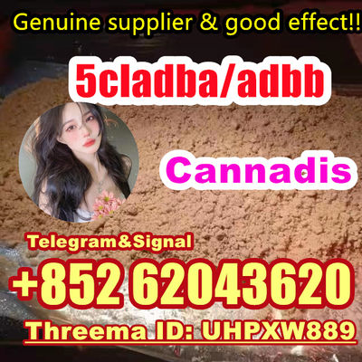 Strongest Cannabinoid 5cladba Powder 5CL-ADB-A precursor raw +852 62043620 - Photo 3