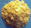 Sulfeto de sódio de flocos amarelos - Foto 2