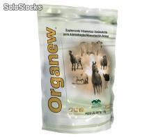 Suplemento proteico para alimentação animal- ovinos-bovinos-equinos e caprinos - Foto 2