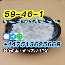 Supply Procaine powder procaine hcl cas 59-46-1