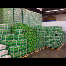 Świeże piwo Heineken na eksport