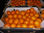Świeże pomarańcze z Egiptu - Zdjęcie 3
