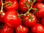 Świeży pomidor - 1