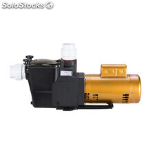 Swimming Pool Water Self Priming Pumps Plastic Single Speed Pool Pump