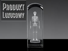 Szkielet 3D - statuetka na prezent dla lekarza