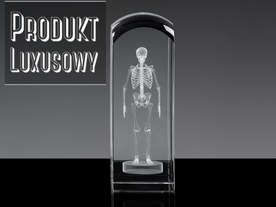 Szkielet 3D - statuetka na prezent dla lekarza
