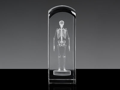 Szkielet 3D - statuetka na prezent dla lekarza - Zdjęcie 2