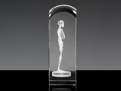Szkielet 3D - statuetka na prezent dla lekarza - Zdjęcie 3