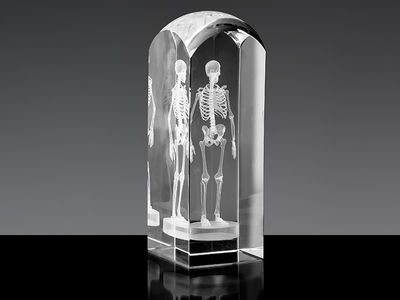 Szkielet 3D - statuetka na prezent dla lekarza - Zdjęcie 5