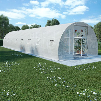 Szklarnia ogrodowa, 36 m², 1200 x 300 x 200 cm