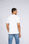 T-shirt adulto taglio tubolare stampa Softstyle - Foto 5