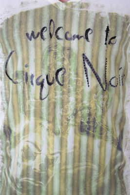 T-shirt stampa Cirque Noir Bray Steve Alan - Foto 4