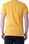 T-shirt Stampa Icecream Bray Steve Alan - Foto 2