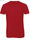 T-shirt uomo Triblend girocollo - Foto 2