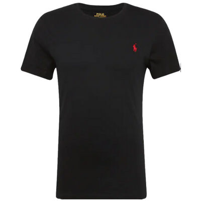 T-shirty męskie Polo Ralph Lauren | Men&#39;s T-shirts
