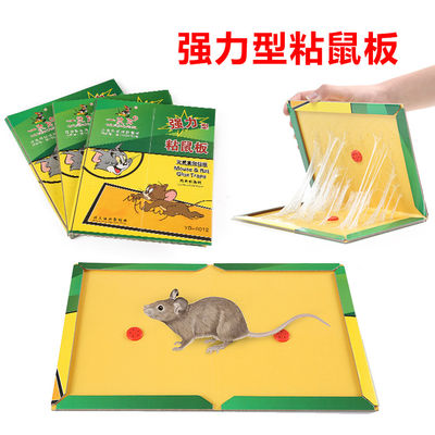 Tabla adhesiva del ratón Tablero de rata Pega mouse