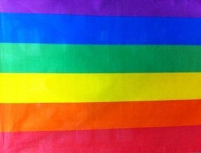 Tela bandera gay 80 cm