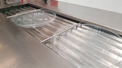 Termosigillatrice ilpra food pack tank formato tondo 290mm - Foto 3