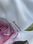Tessuto abbigliamento floreale Monnalisa - Foto 4
