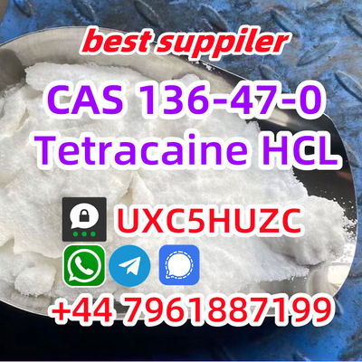 Tetracaine HCl Safe Clearence 100% Cas 136-47-0 powder