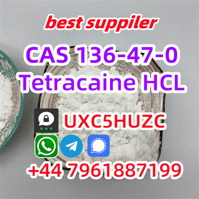 Tetracaine HCl Safe Clearence 100% Cas 136-47-0 powder - Photo 2