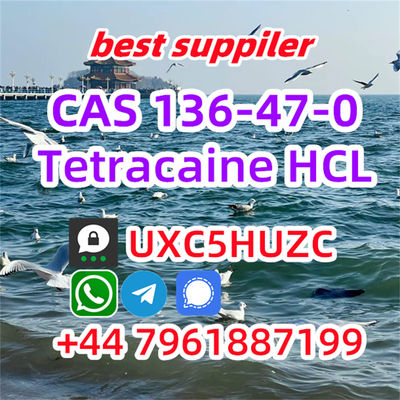 Tetracaine HCl Safe Clearence 100% Cas 136-47-0 powder - Photo 4