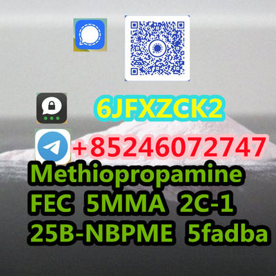 TH-PVP 4f-php Erhylone Dibutylone - Photo 2