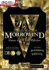 The elderscrolls iii morrowind game of the year edition (pc)