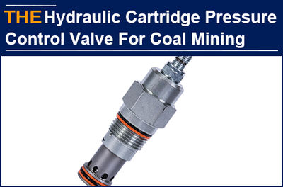 The Hydraulic Cartridge Pressure Control Valve that has puzzled customer for mor