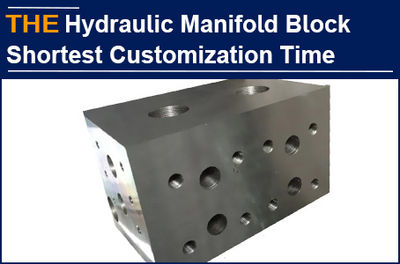 The Hydraulic Manifold Block was customized in 45 days. Except for AAK, Albion c