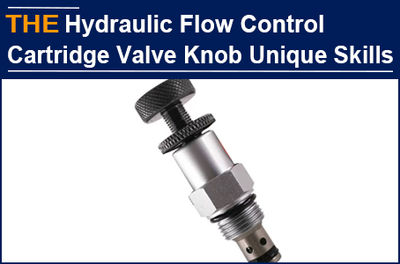 The knob of Hydraulic Flow Control Cartridge Valve needs special skills, Bauer w