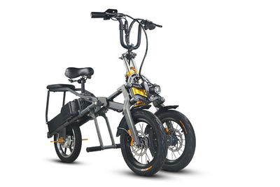 Three Wheel Folding Electric Scooter,electric bike