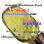 Threema_BUFM9WZT P2NP 1-Phenyl-2-nitropropene cas 705-60-2 - Photo 2