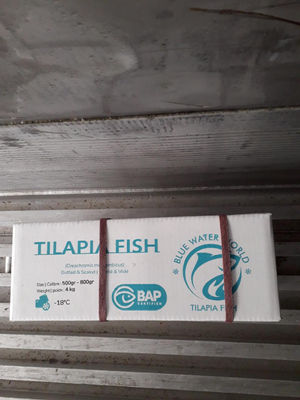 Tilapia poisson congelé entier [Boite de 4KG] - Evidé et écaillé 600gr à 800gr