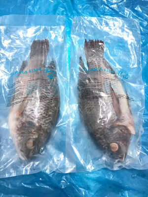 Tilapia poisson congelé entier [Boite de 4KG] - Evidé et écaillé 600gr à 800gr - Photo 3