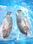 Tilapia poisson congelé entier [Boite de 4KG] - Evidé et écaillé 600gr à 800gr - Photo 4
