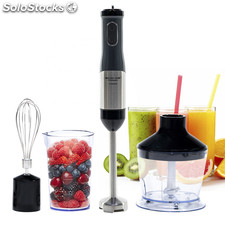 Titanmix Evolution - Frullatore a immersione con 3 accessori