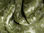 Tkanina zasłonowa ornament - liście zielone - 1