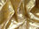 Tkanina zasłonowa - ornament złoty - 1