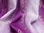 Tkanina zasłonowa rozeta fiolet - 1