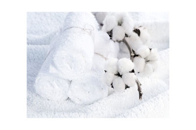 Toallas Lisas blancas 520grs 100% algodón Rizo Americano - Foto 3
