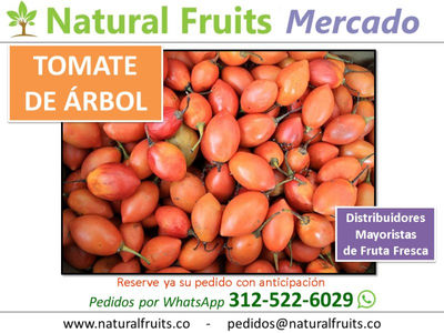 Tomate de Árbol, distribuidor mayorista comercializador por mayor venta. Bogotá